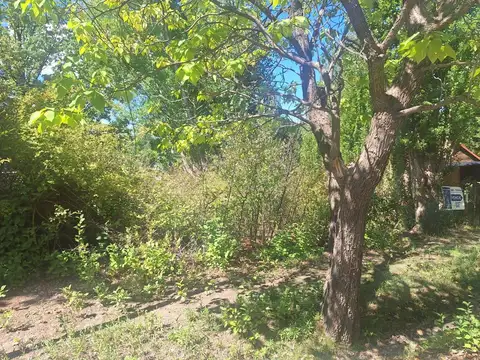 LAS VEGAS  - POTRERILLOS Los Condores S/N Lote 2 Manzana "C"