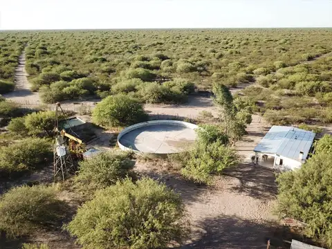 16000 has Zona Este de Mendoza