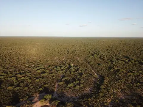 Campo en Mendoza, Santa Rosa Ganadero