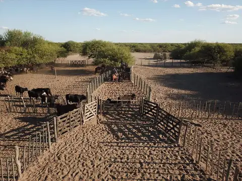 16000 has Zona Este de Mendoza