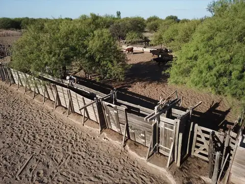 16000 has Zona Este de Mendoza