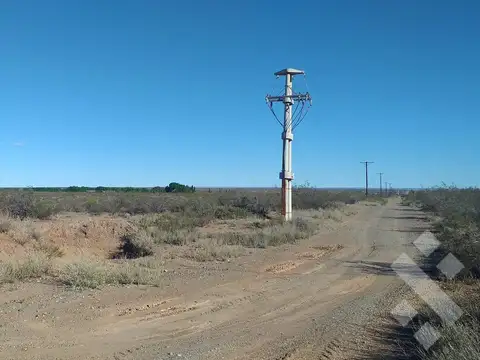 Campo de 25 Ha en venta en Senillosa. A 500 m de la R22. USD100.000. Con ESCRITURA.