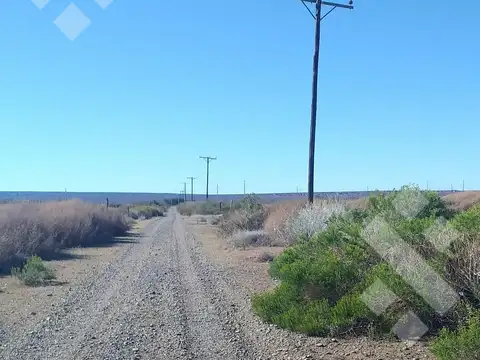 Campo de 25 Ha en venta en Senillosa. A 500 m de la R22. USD100.000. Con ESCRITURA.