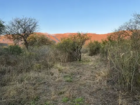 Terreno en Venta de 5000,0 m2