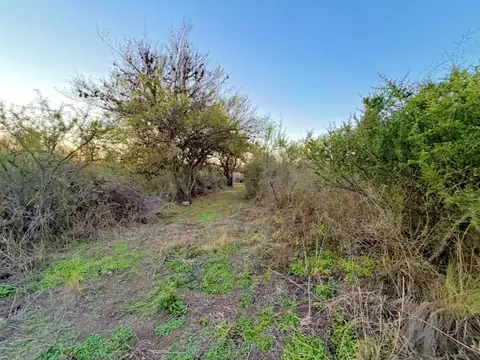 Terreno en Venta 85  mts Fondo