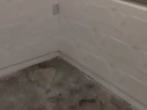 Gacea de Buenos Aires 3800