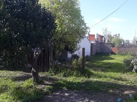 CARLOS PELEGRINI 100