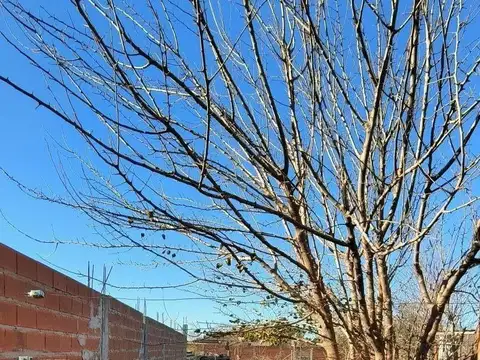 Terreno - Venta - Argentina, La Matanza - CAÑADA DE GÓMEZ 10748