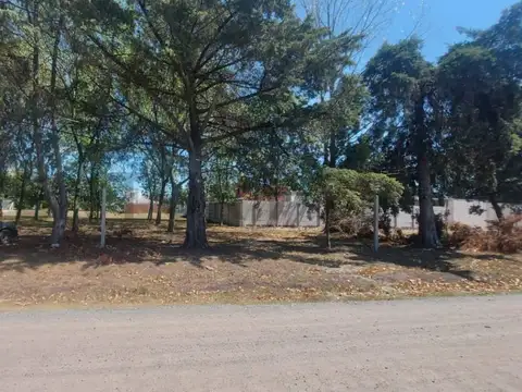 490 entre 137 y 138 100