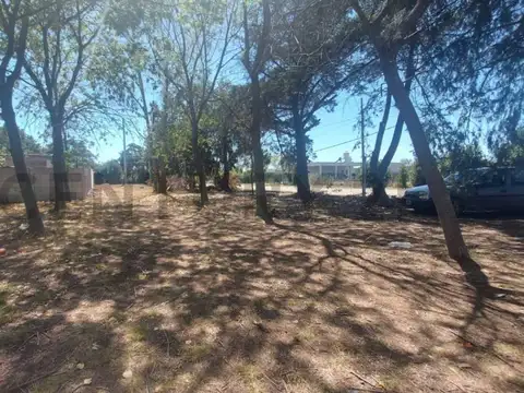 490 entre 137 y 138 100
