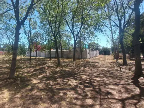 490 entre 137 y 138, Terreno en Venta, Joaquin Gorina.-