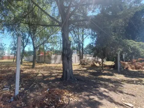 Terreno en Venta de 445,0 m2