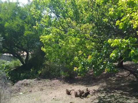 Terreno en Venta de 808,0 m2