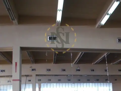 ALQUILER GALPON RUTA 8 , prox CANELONES