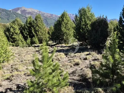 Terreno en Venta en Meliquina, USD 55.000