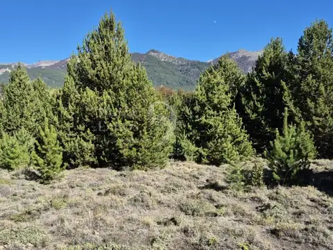 Terreno en Venta de 1984,0 m2