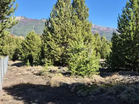 Terreno en Venta de 1984,0 m2