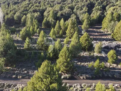 Meliquina, lotes 9 y 10 de la manzana I 1
