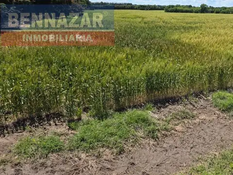 Campo camino a Vuelta de Obligado IDEAL FIN DE SEMANAS!
