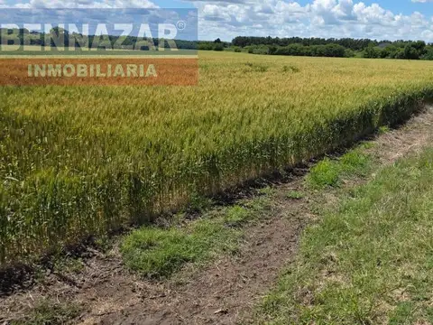Campo camino a Vuelta de Obligado IDEAL FIN DE SEMANAS!