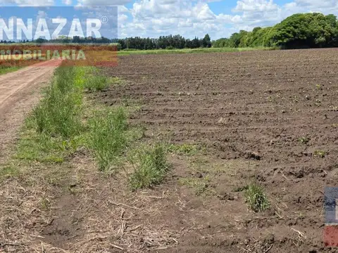 10 hectareas, CAMINO VUELTA DE OBLIGADO LUCIO MANSILLA, san pedro, provincia de buenos aires
