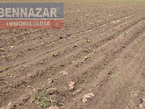 Campo camino a Vuelta de Obligado IDEAL FIN DE SEMANAS!