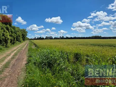 Campo camino a Vuelta de Obligado IDEAL FIN DE SEMANAS!