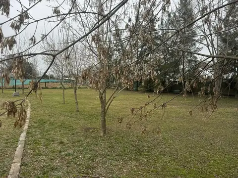 Quinta en Venta en Cañuelas, USD 145.000