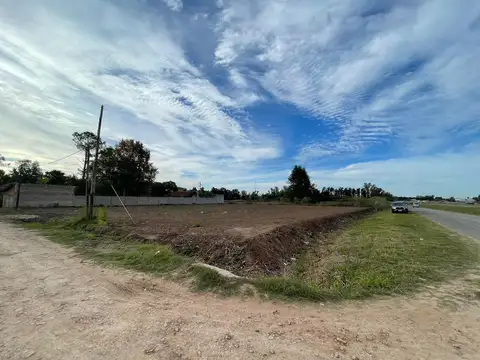 Colectora Au Lujan - Bragado (Ruta 5) Km 69