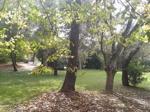 Lote en C. C. Los Cardales oportunidad única u$s 40.000