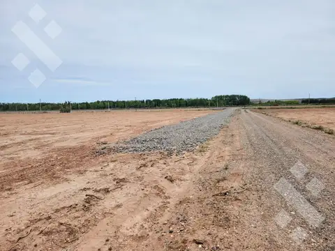 Terreno en Alquiler en Añelo, USD 3.000