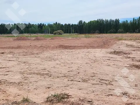Terreno en Alquiler 50  mts Frente
