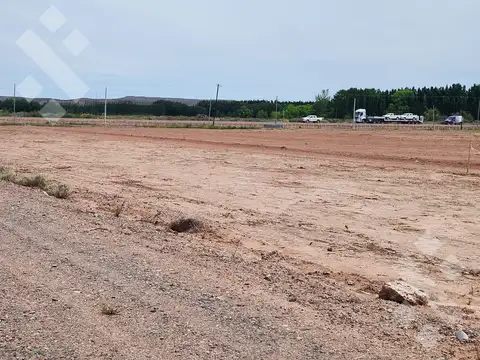Terreno en Alquiler 100  mts Fondo