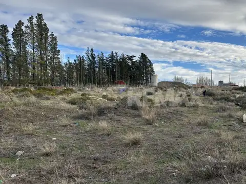 LOTEO EN LOS TRES PINOS