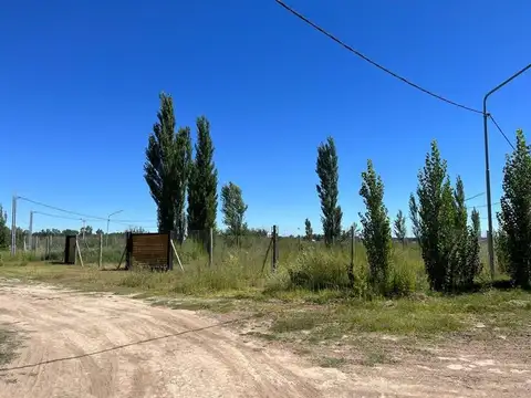 Terreno en Venta en Plottier, USD 21.500