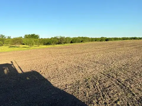 Campo en Venta de 300  ha