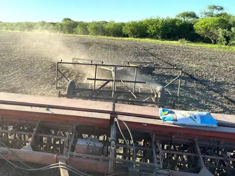 Campo en Venta Ganadero