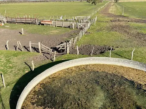 Campo en Venta Ganadero