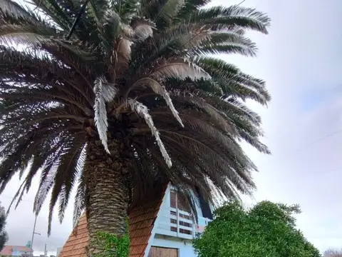 Casa en Venta en Mar del Plata, USD 45.000