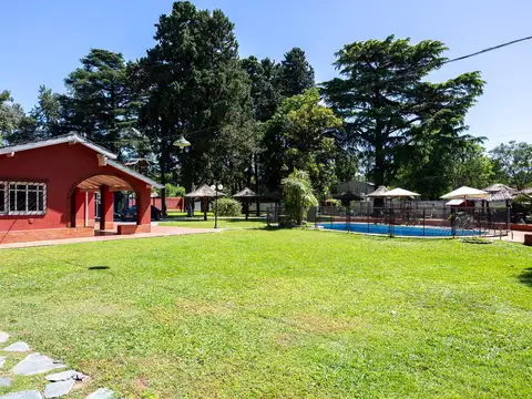 Colón al 300