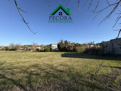 Lote - El Cazal -  Interno - Lote 33