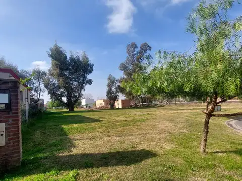 Terreno en Venta de 591,0 m2