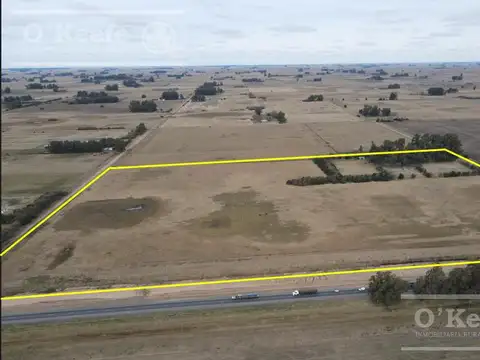 Chacra en venta de 20 Has sobre Ruta 3 - Combina producción y descanso  - Las Flores