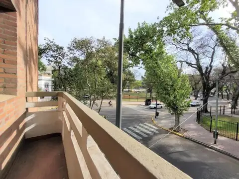 Luzuriaga 100