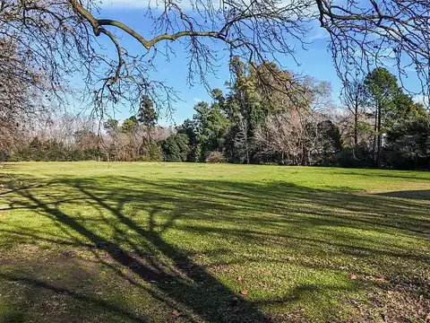 Excelente terreno Arbolado en Venta.