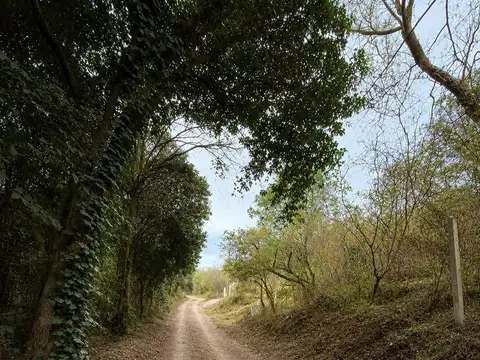 Terreno en Venta 40  mts Fondo