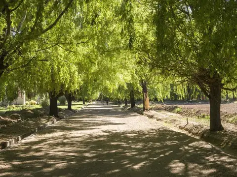 Terreno en Venta en Las Heras, USD 30.000
