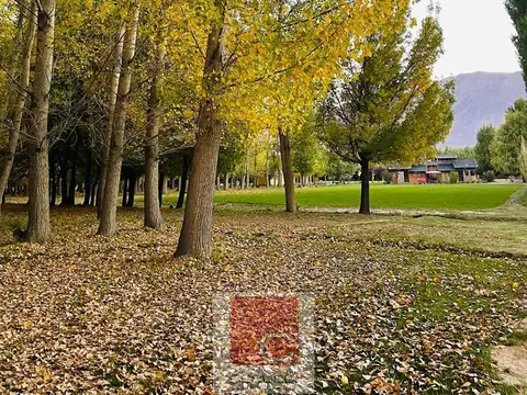 4 Elementos