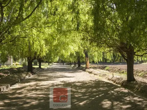 Terreno en Venta en Las Heras, USD 30.000