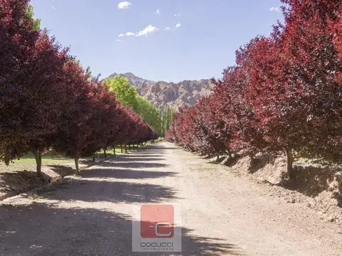 Terreno en Venta en Las Heras, USD 30.000